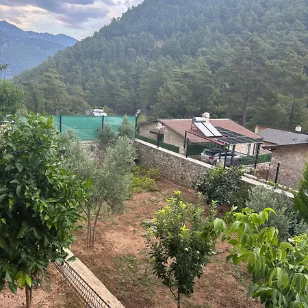 Isik 빌라